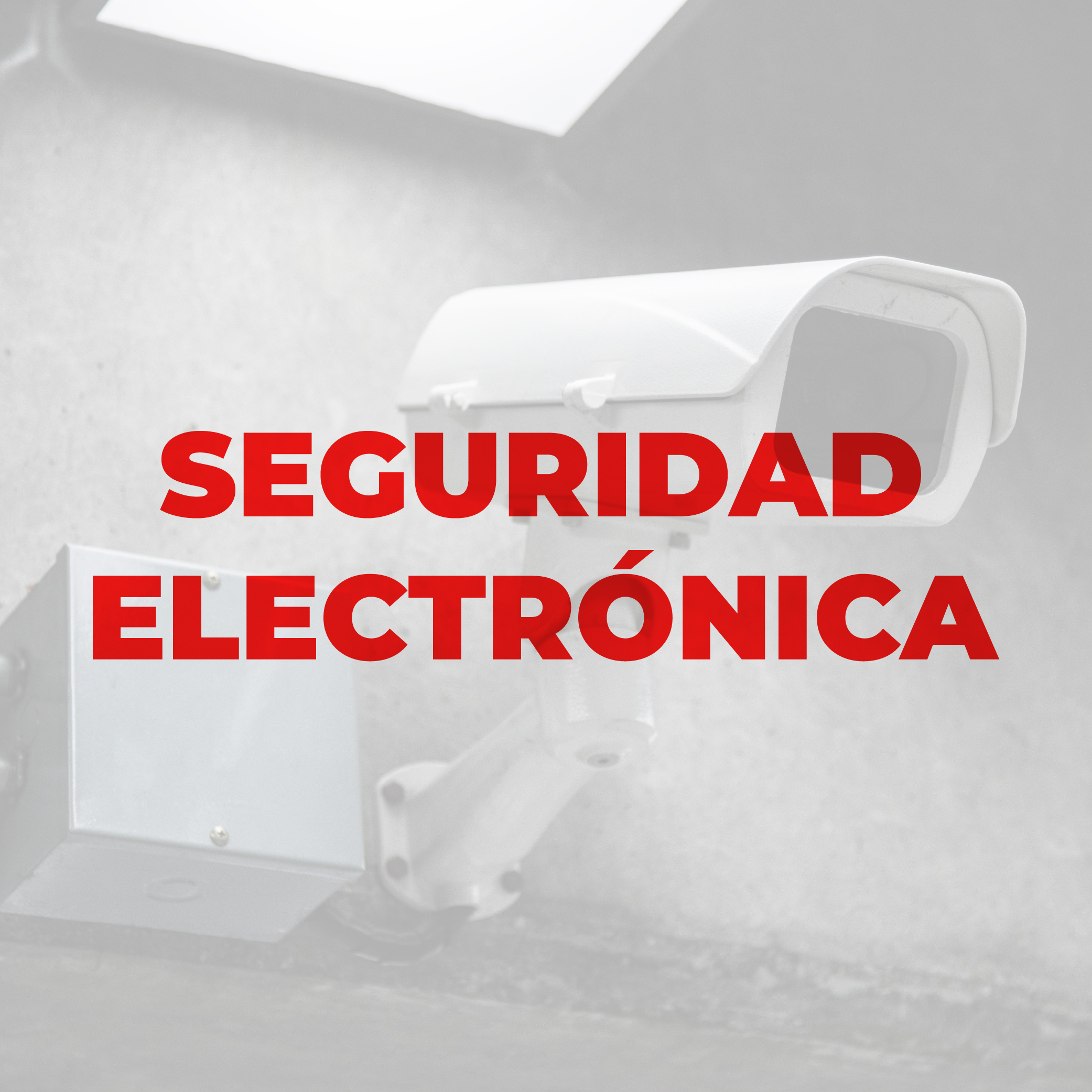 Seguridad Electronica
