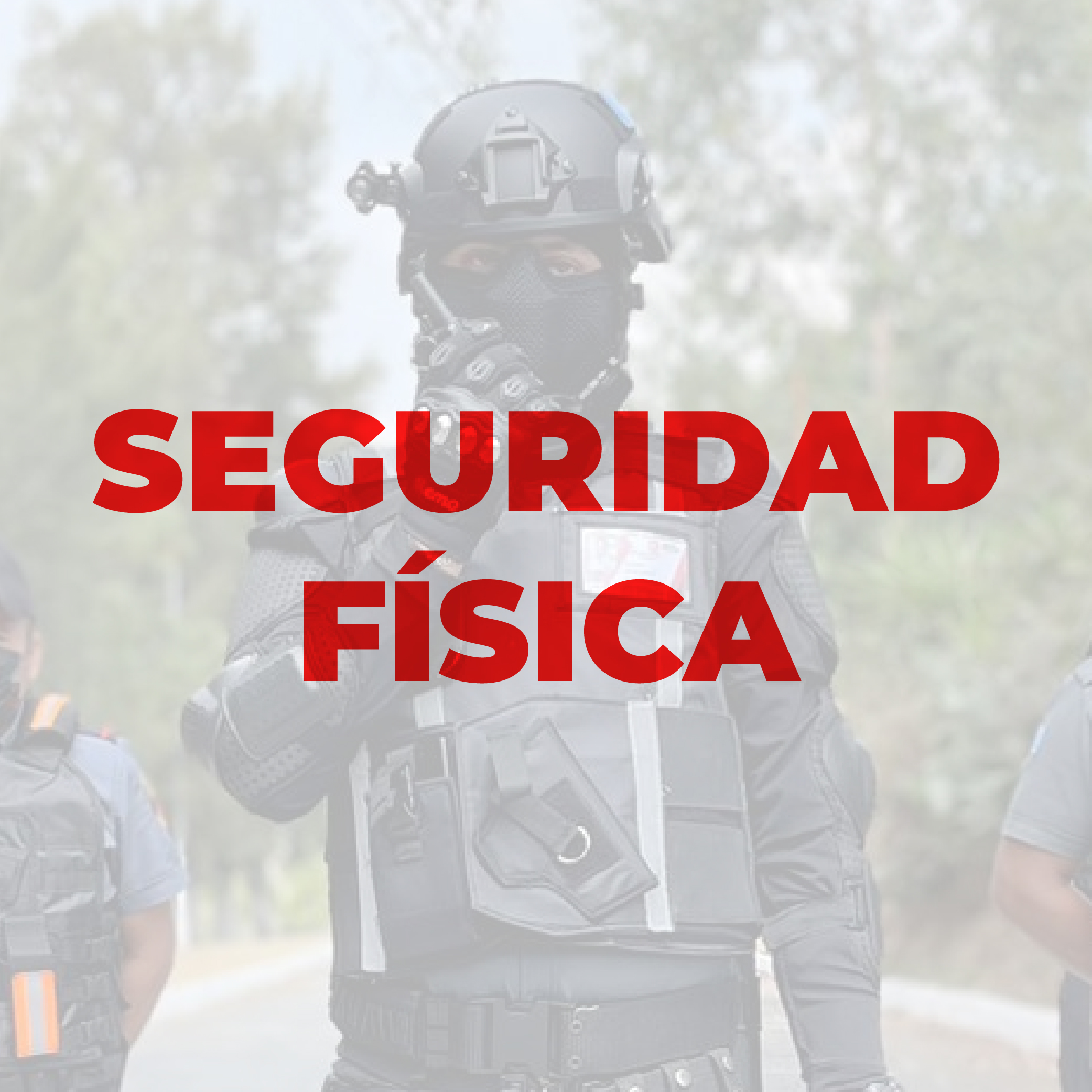 Seguridad Física